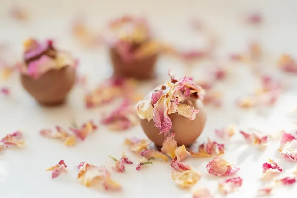 LottoKings Casino Android/iOS App